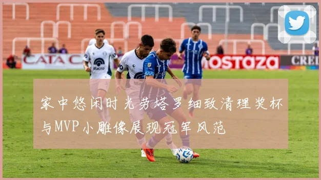 家中悠闲时光劳塔罗细致清理奖杯与MVP小雕像展现冠军风范